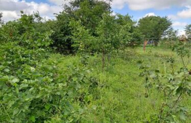 2.45 HECTARES TITLED SMALLHOLDING FARM FOR SALE TURNPIKE JUNCTION ALONG MAZABUKA ROAD