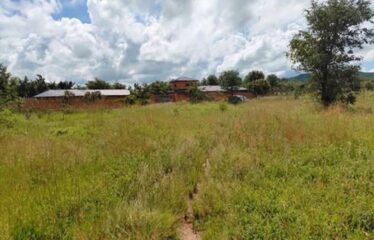 2.45 HECTARES TITLED SMALLHOLDING FARM FOR SALE TURNPIKE JUNCTION ALONG MAZABUKA ROAD