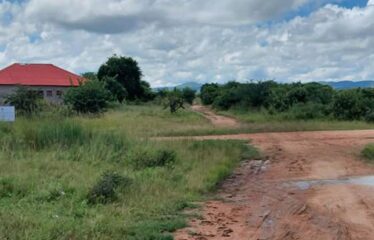 2.45 HECTARES TITLED SMALLHOLDING FARM FOR SALE TURNPIKE JUNCTION ALONG MAZABUKA ROAD
