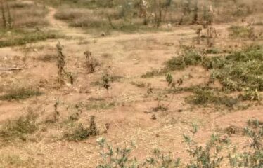 COMMERCIAL PROPERTY FOR SALE IN LOS ANGELES ROAD LUSAKA